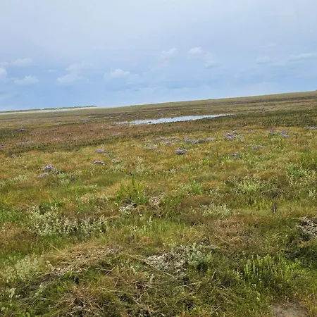 別荘 Seaside Retreat At Rim - By Traum *