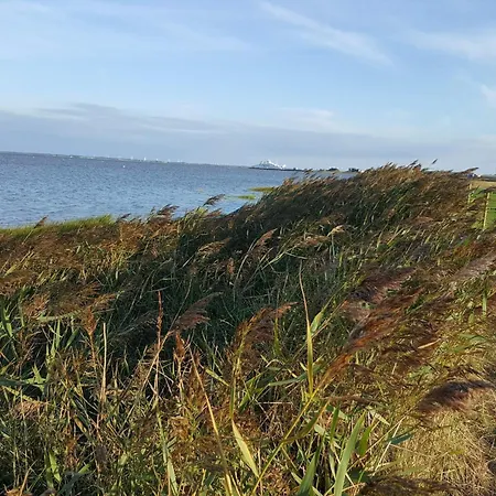 Seaside Retreat At Rim - By Traum