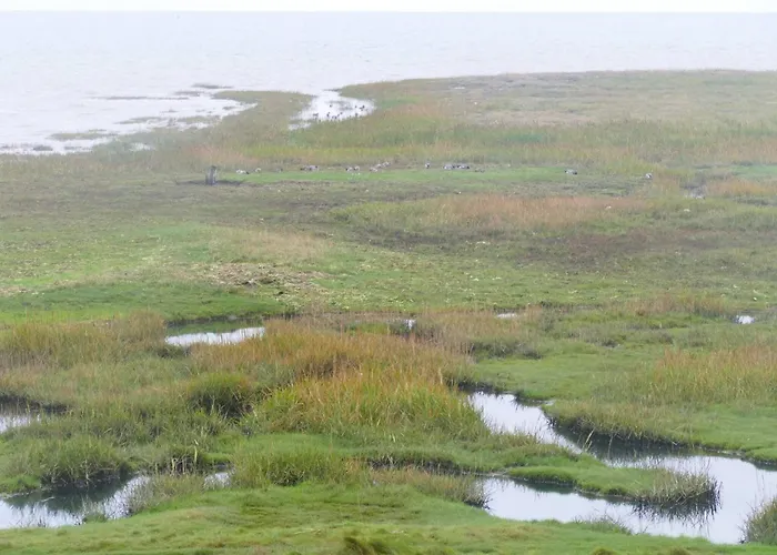 Seaside Retreat At Rim - By Traum Nyaraló Rømø Kirkeby