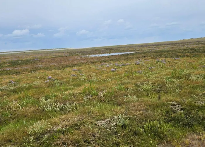 Nyaraló Seaside Retreat At Rim - By Traum *