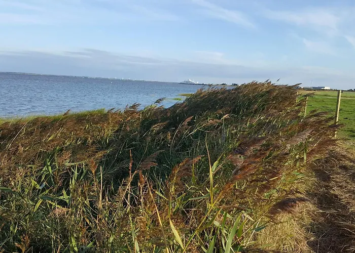 Seaside Retreat At Rim - By Traum